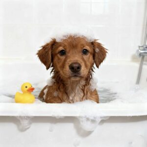 微信图片 20251107104000 10 437